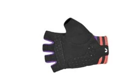 Gants Courts Race Day 5 Gants Courts Race Day -Magasin D'Équipement De Vélo Professionnel 830001018830001019830001020 LIVRACEDAYSFGLOVES BLACK 02