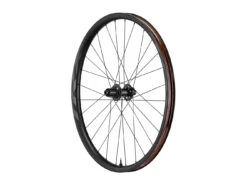 WheelSystem TRX 2 29 9 WheelSystem TRX 2 29 -Magasin D'Équipement De Vélo Professionnel GIANT TRX 2 29 BOOST RW MY21@350000266@ 1