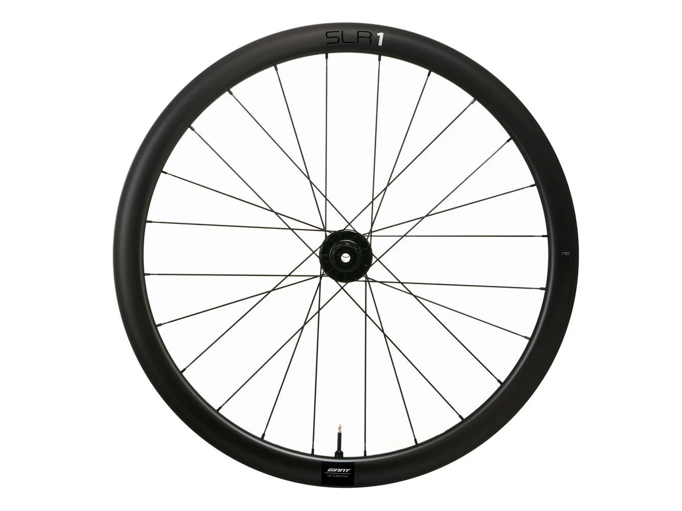 WheelSystem SLR 1 42 Disc 5 WheelSystem SLR 1 42 Disc – Image 3