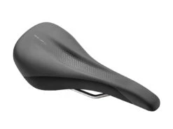 Selle Sylvia SL